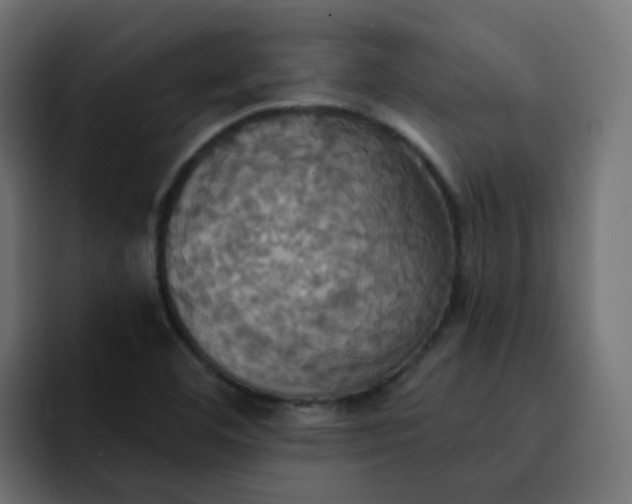 X0000092111460200710031222