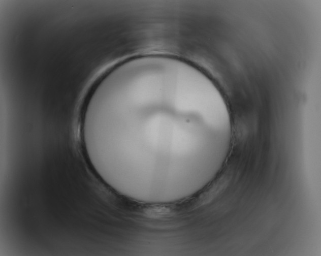 X0000092111462200710031222