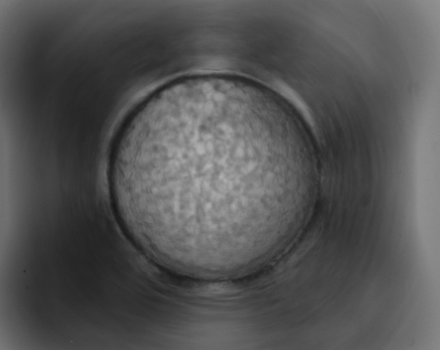 X0000092111464200710031222