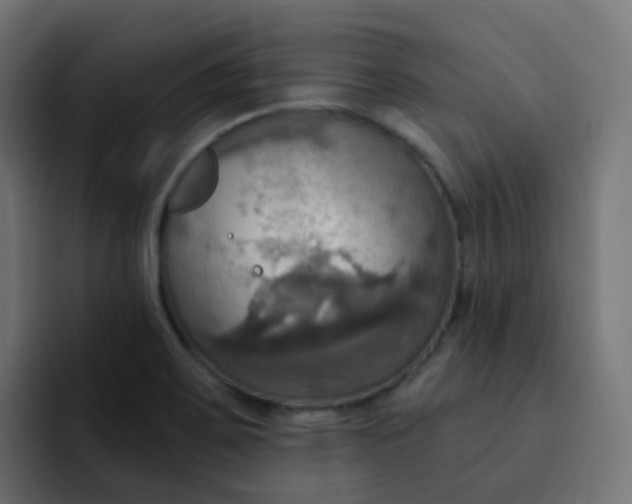 X0000092111467200710031222