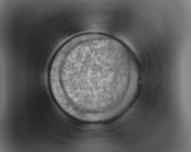 X0000092111468200710031222