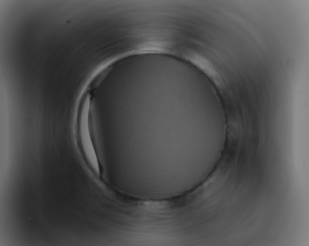 X0000092111469200710031222