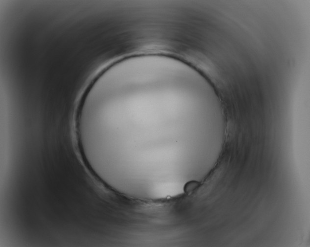 X0000092111470200710031222