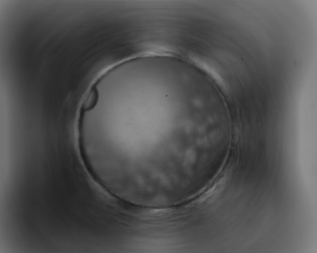 X0000092111471200710031222