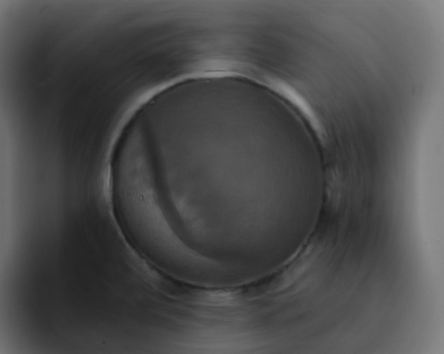 X0000092111472200710031222