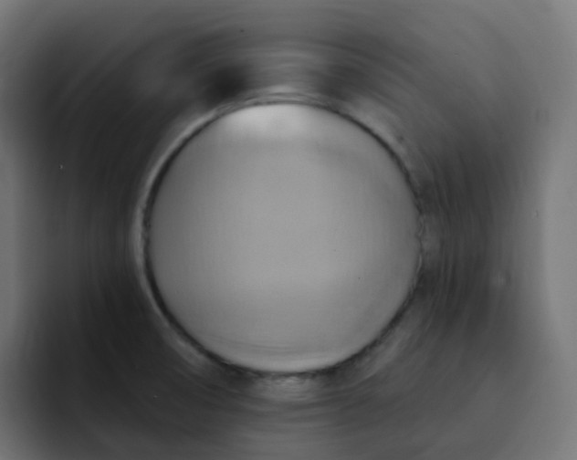 X0000092111474200710031222