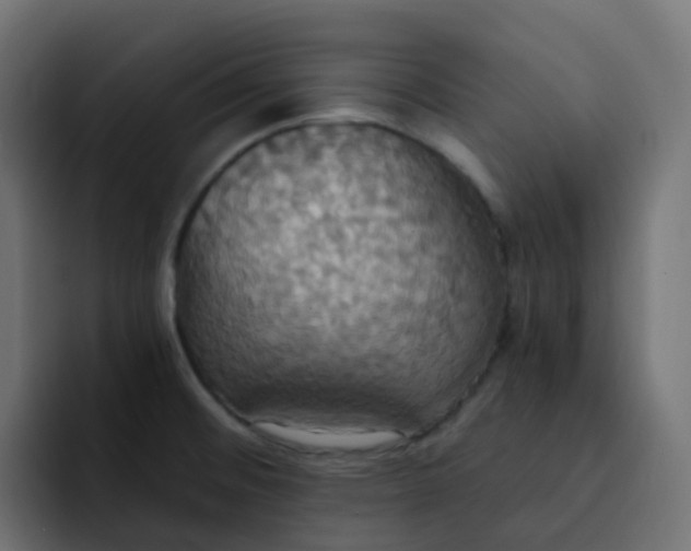 X0000092111476200710031222