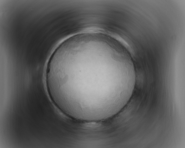 X0000092111478200710031222