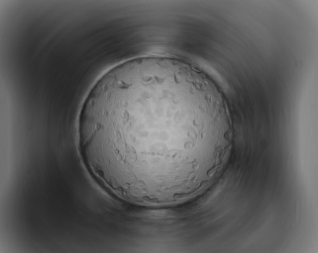 X0000092111479200710031222