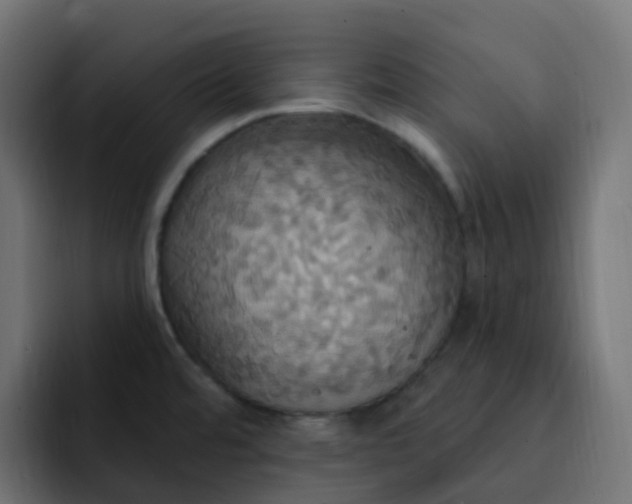 X0000092111480200710031222