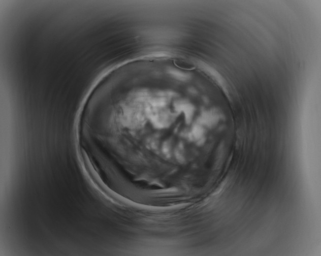 X0000092111483200710031222