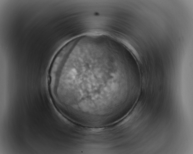 X0000092111484200710031222