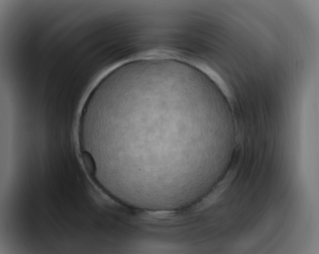 X0000092111486200710031222