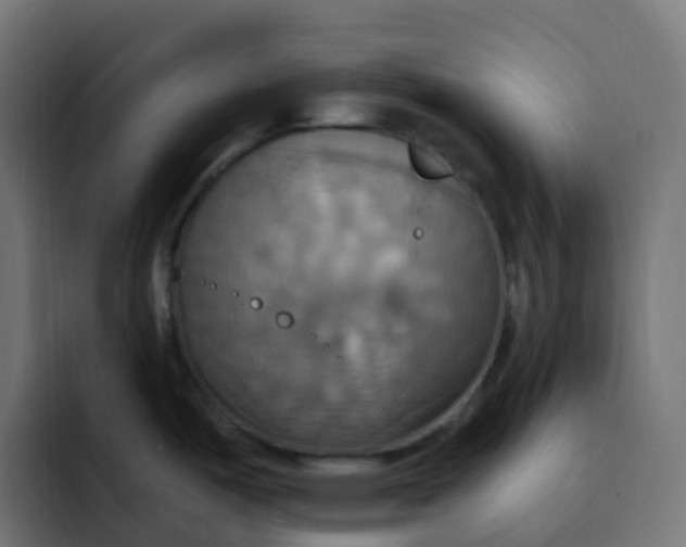 X0000092111487200710031221