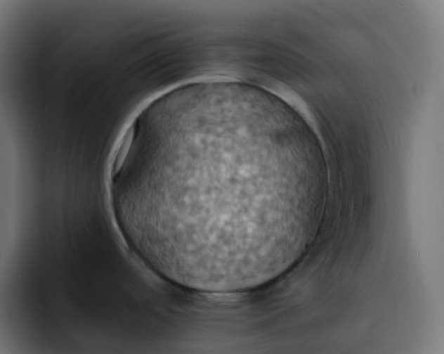 X0000092111488200710031221