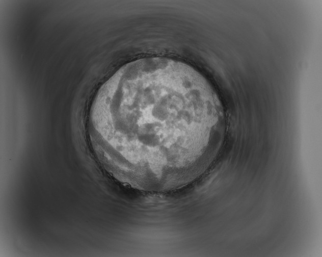 X0000092111489200710031221