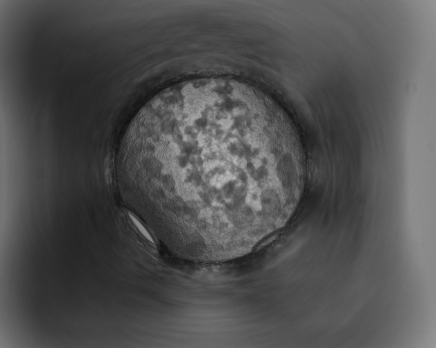 X0000092111490200710031221