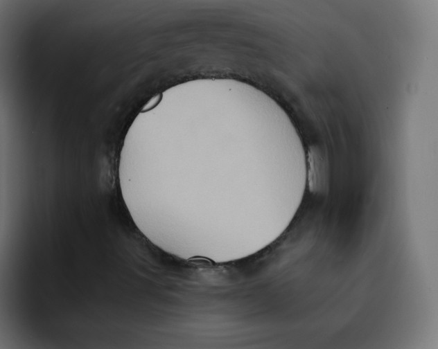 X0000092111491200710031221