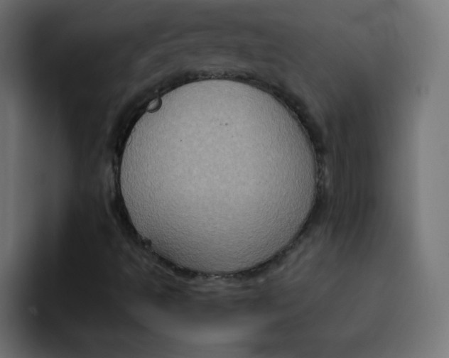 X0000092111493200710031221