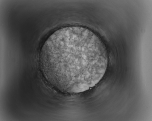 X0000092111494200710031221