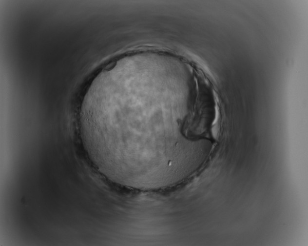 X0000092111496200710031221