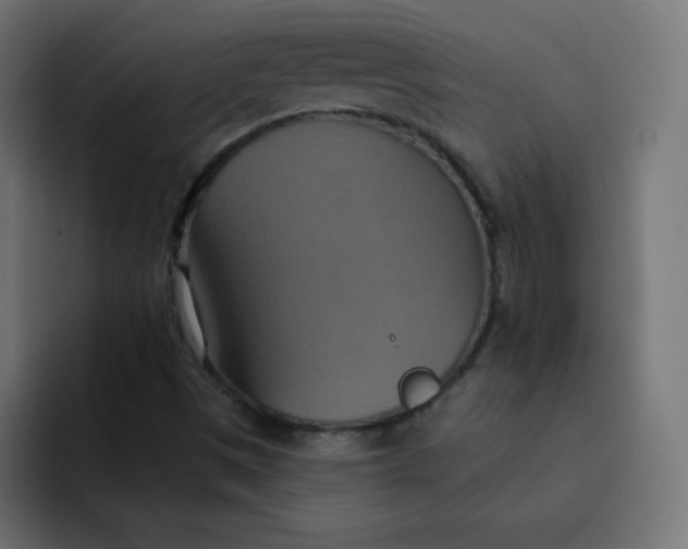 X0000092111497200710031221