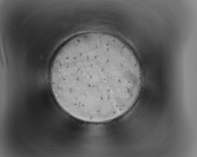 X0000092111498200710031221