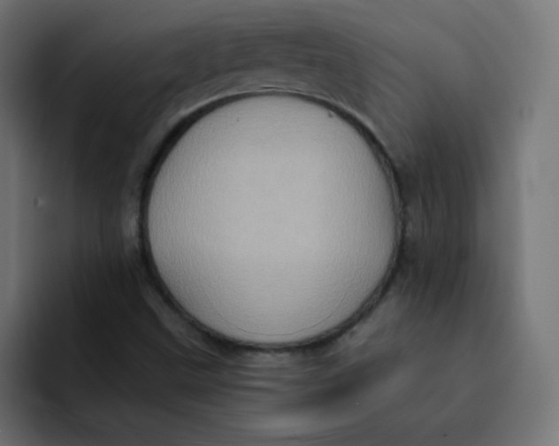 X0000092111499200710031221