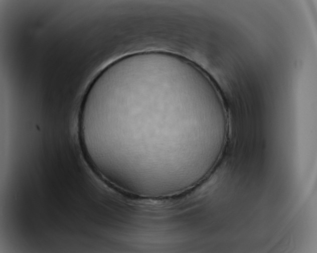 X0000092111500200710031221