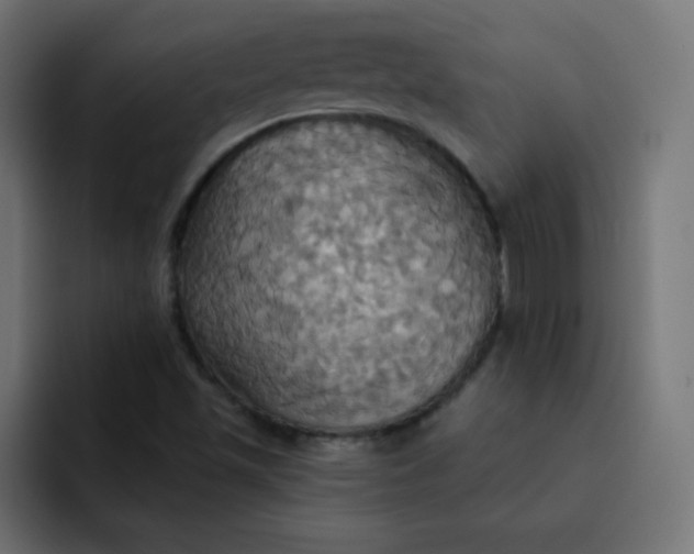 X0000092111501200710031221