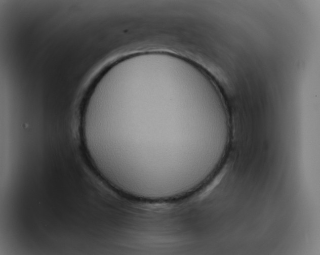 X0000092111502200710031221