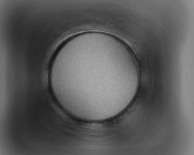 X0000092111503200710031221