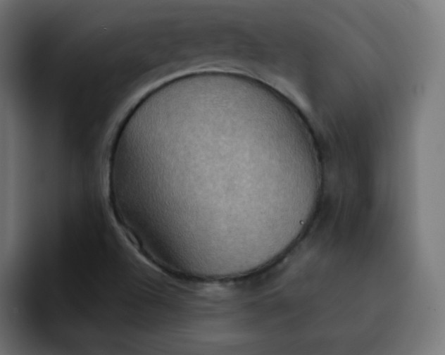 X0000092111504200710031221