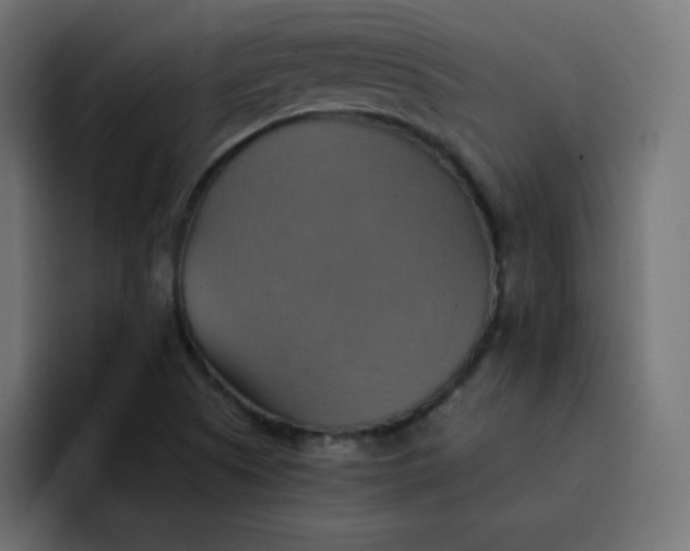 X0000092111505200710031221