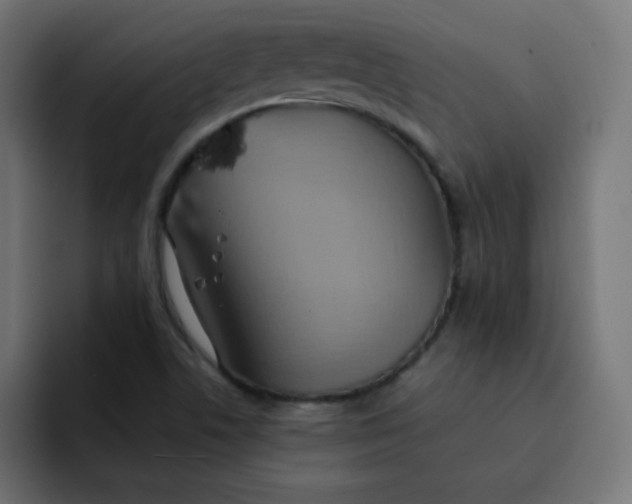 X0000092111506200710031221