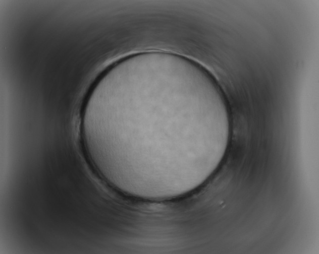 X0000092111507200710031221