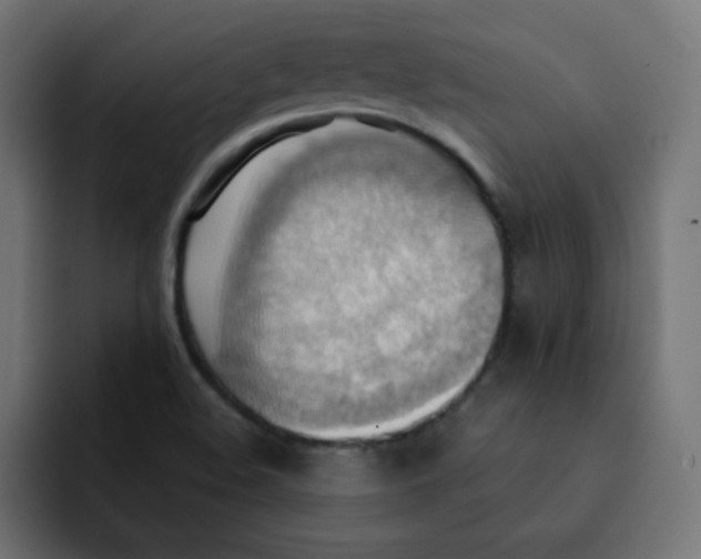 X0000092111508200710031221