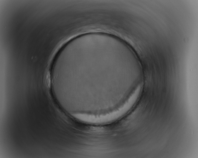 X0000092111509200710031221