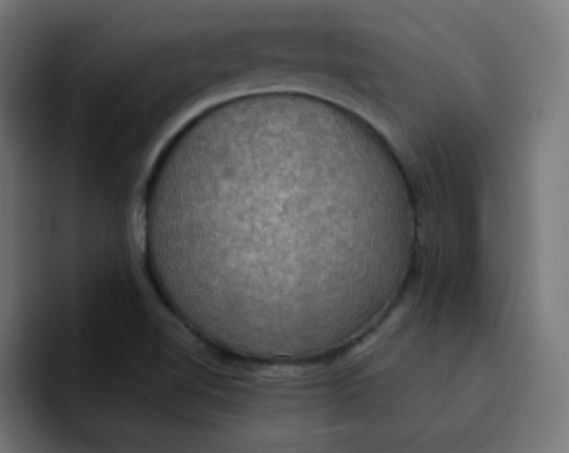 X0000092111510200710031221