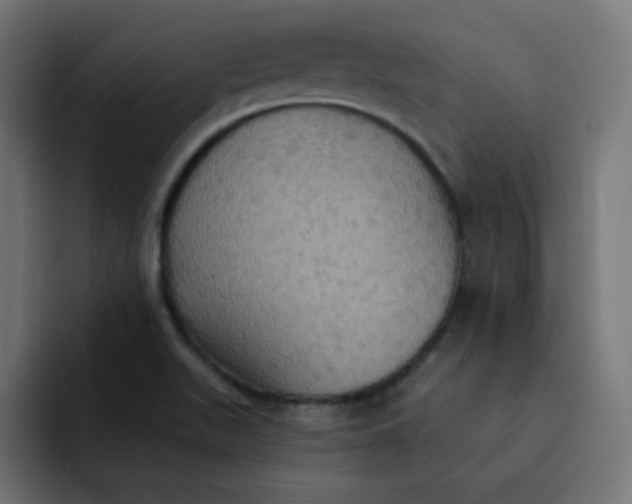 X0000092111511200710031221