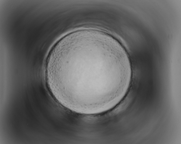 X0000092111514200710031221