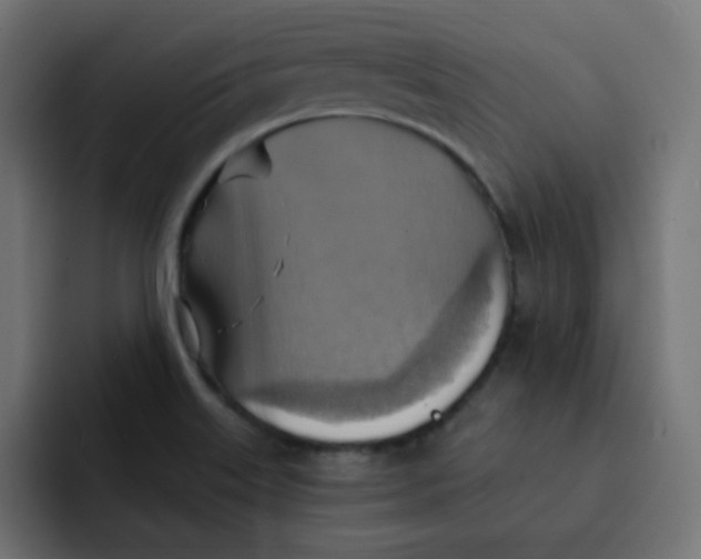 X0000092111515200710031221