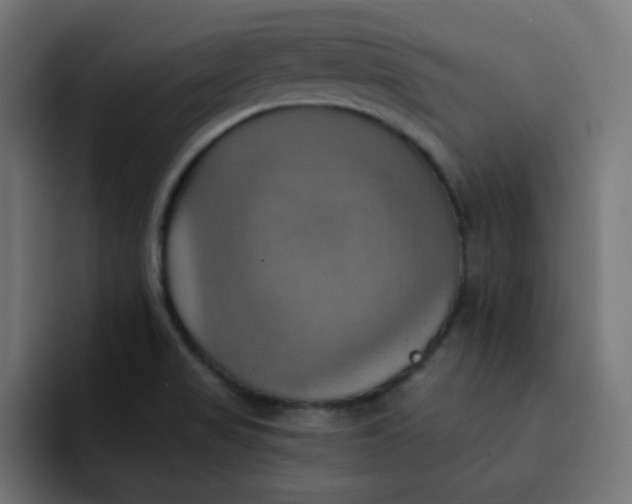 X0000092111517200710031221