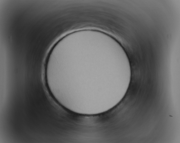 X0000092111518200710031221