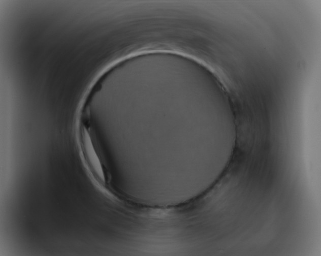 X0000092111519200710031221