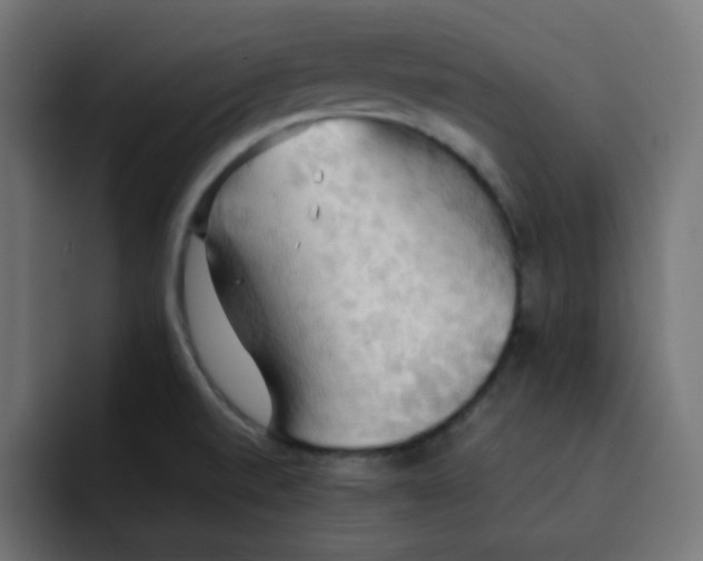 X0000092111520200710031221