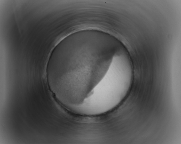 X0000092111521200710031221