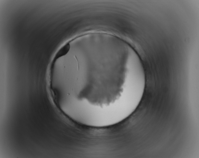 X0000092111522200710031221