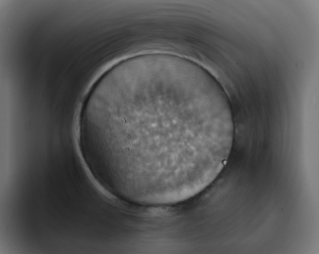 X0000092111523200710031221