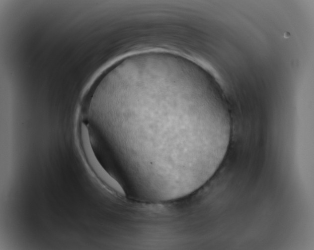 X0000092111524200710031221